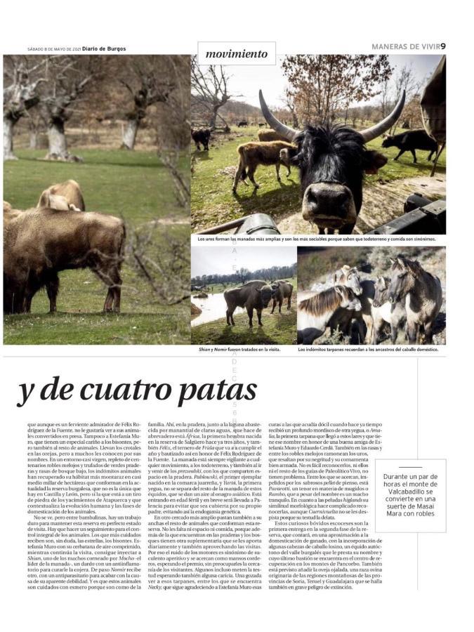 Paleolitico Rural Holiday home *