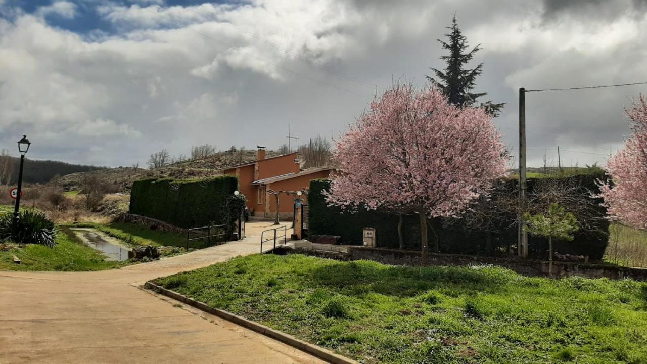 Paleolitico Rural