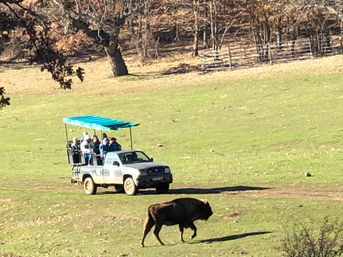 Hébergement de vacances Paleolitico Rural *