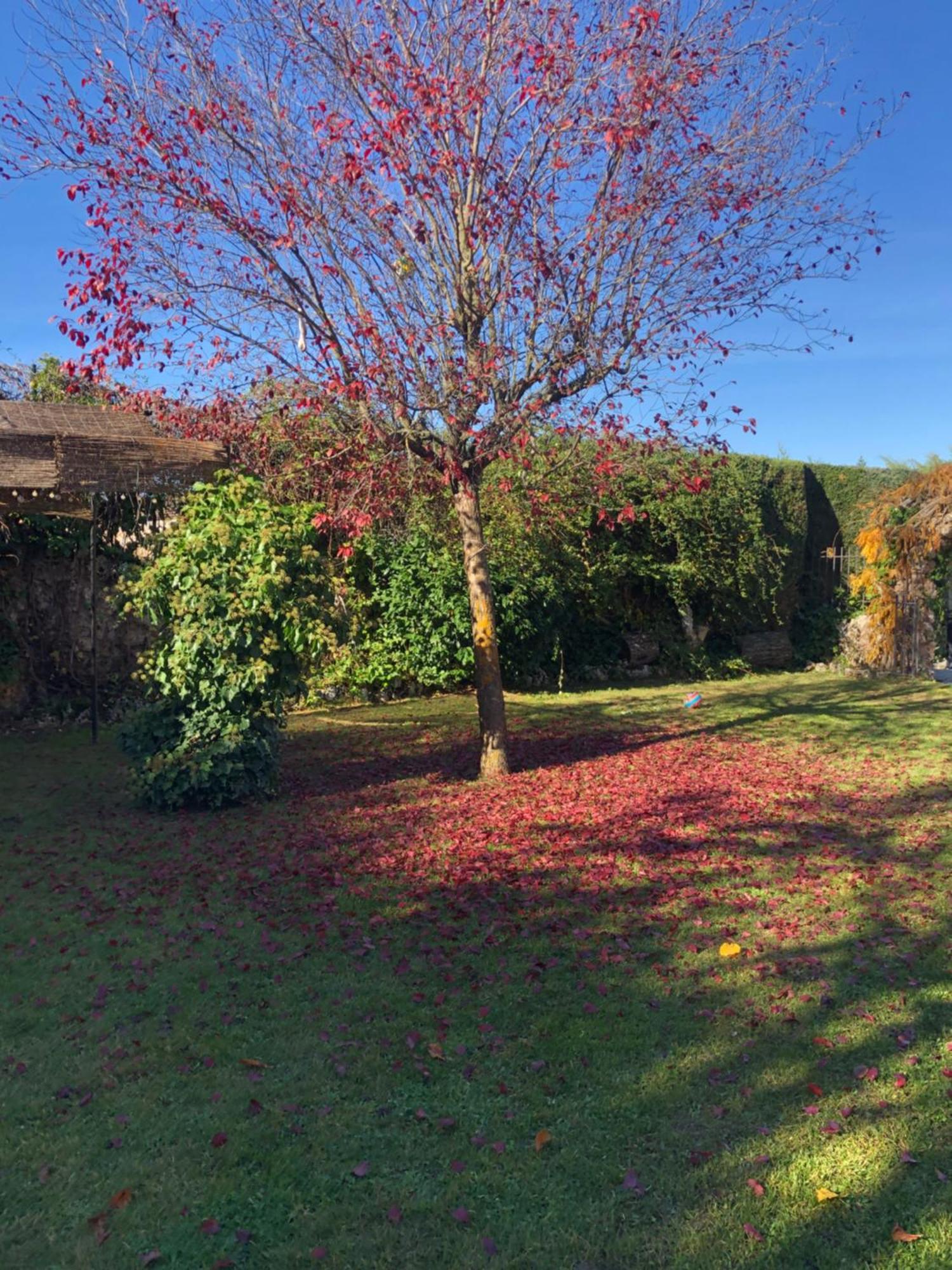 Paleolitico Rural Salguero de Juarros